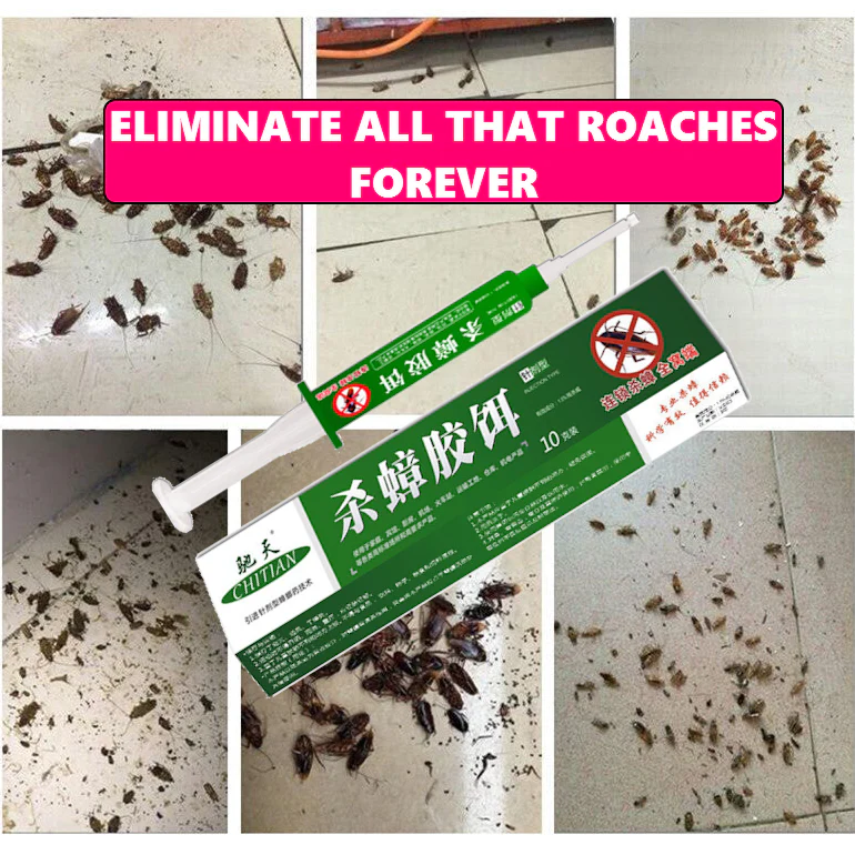 Cockroach Pest Control Product for Effective Extermination - Image 2