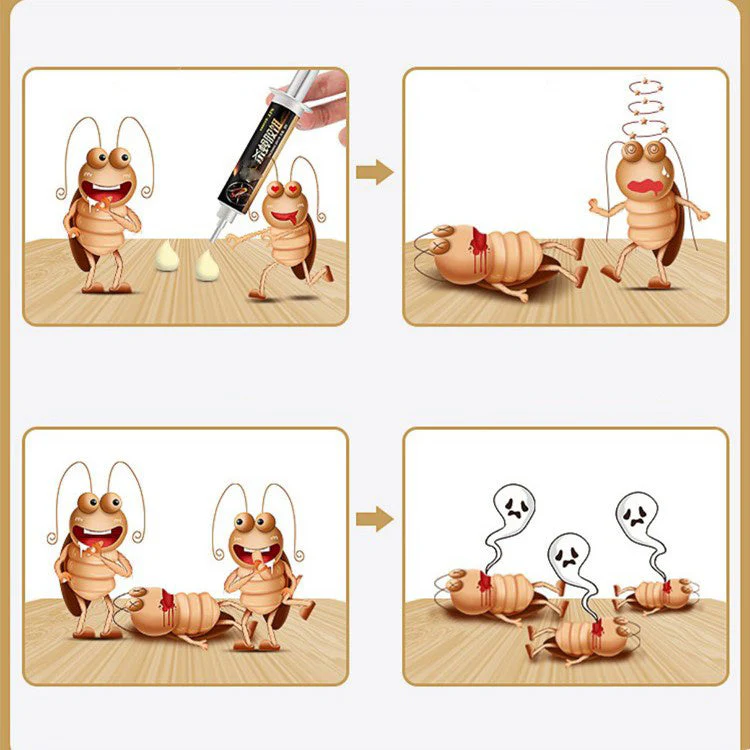 Effective Home Roach Control Solution - Image 5