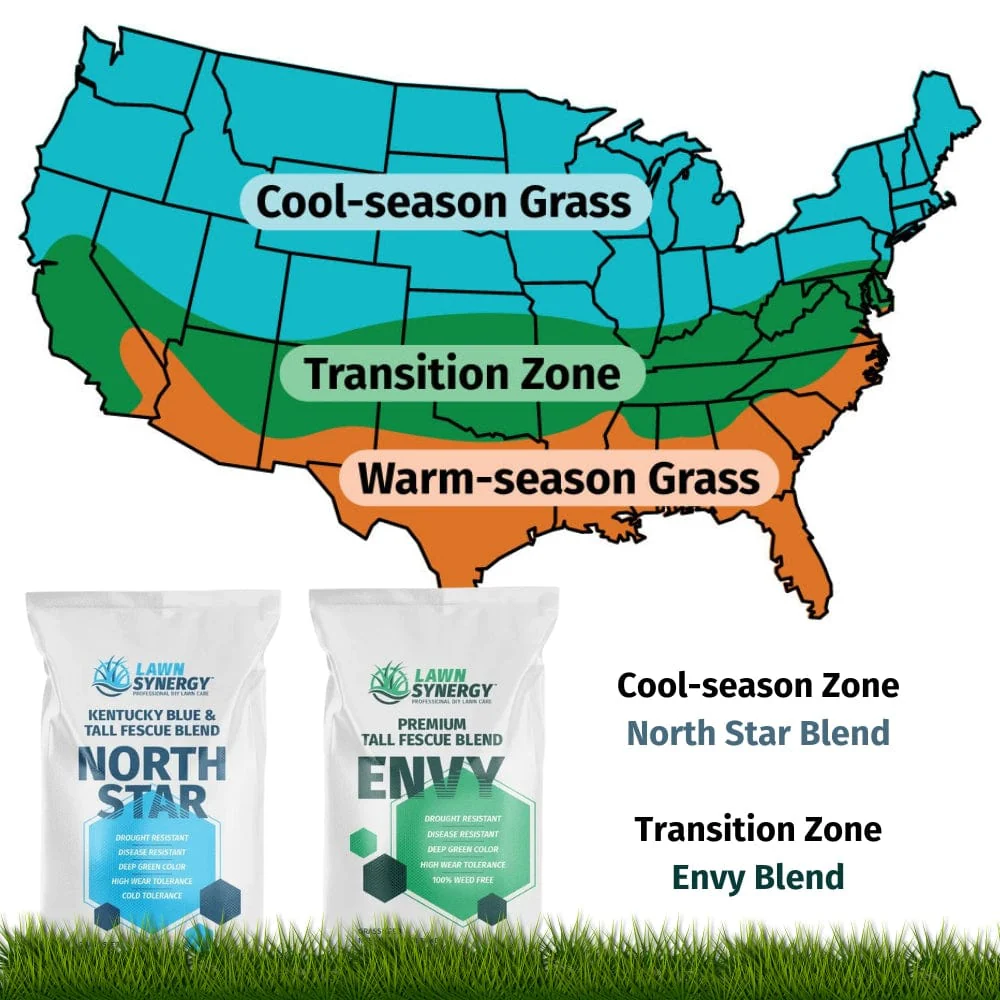 Envy Premium Tall Fescue Grass Seed Blend - Image 4