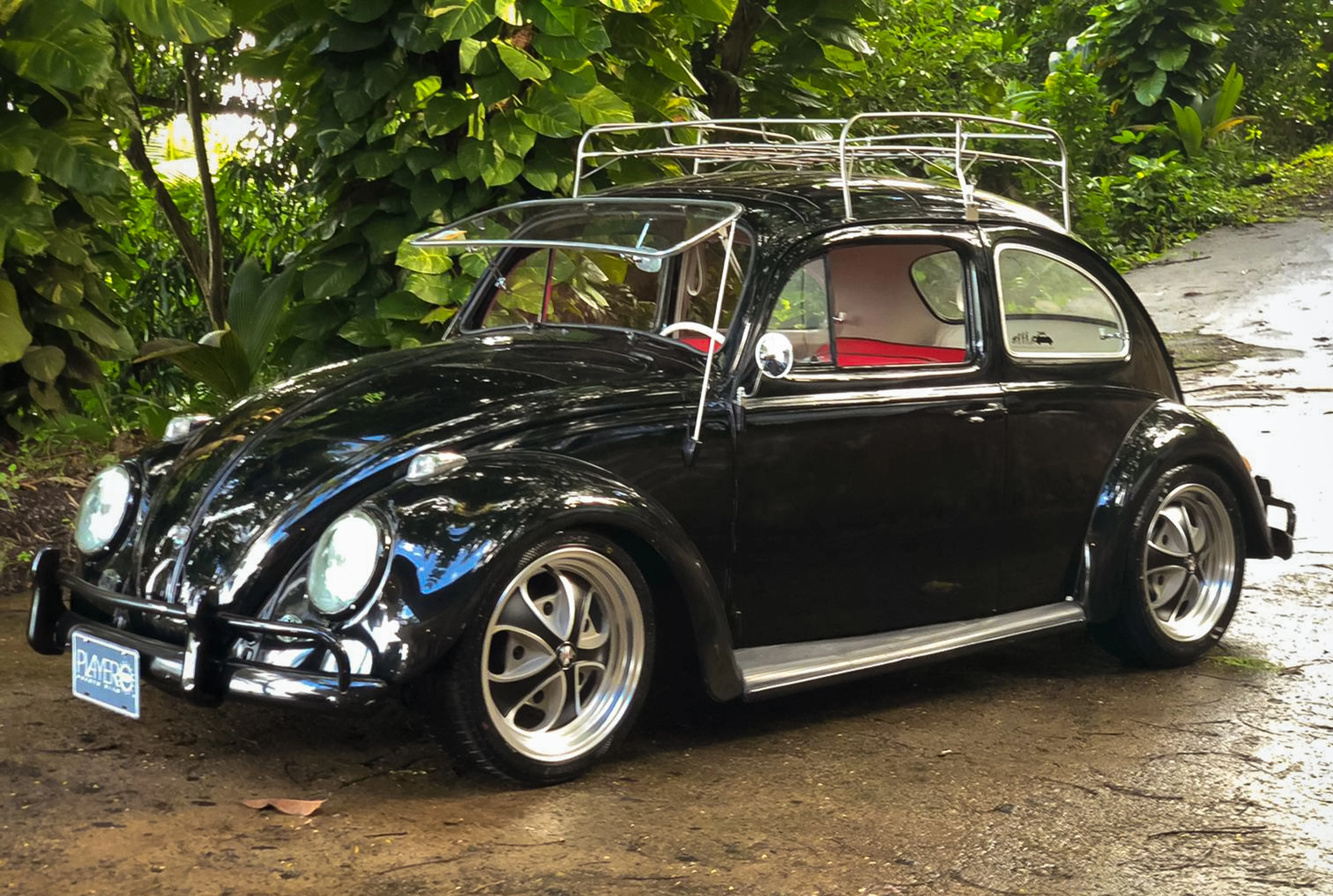 Falcon | Satin Black + Vintage - Image 7