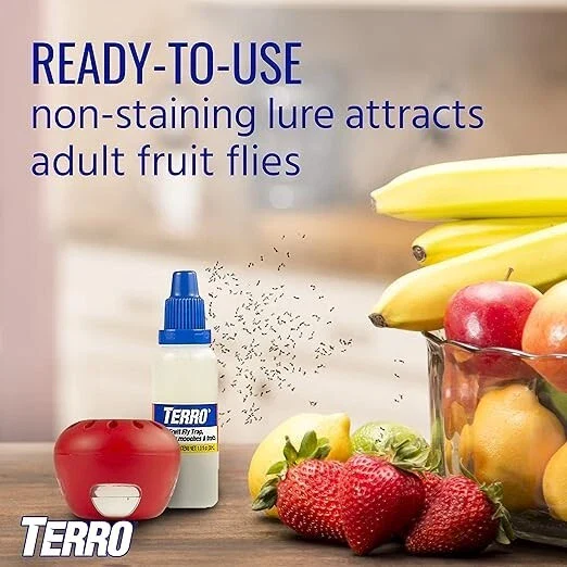 Indoor Fruit Fly Trap, (2-count) 4 Traps , Terro In Built With Window Sinks - Image 2