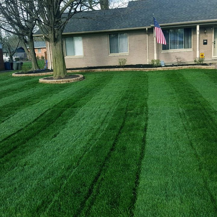 LESCO 46-0-0 Sprayable Urea – High-Nitrogen Turf Fertilizer - Image 2