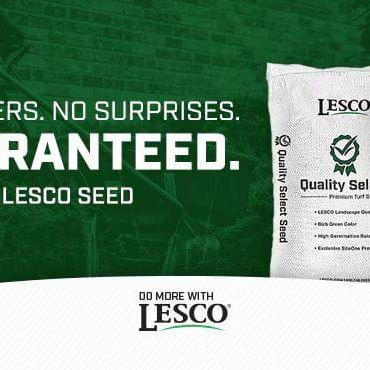 Lesco Tall Fescue Select Blend Grass Seed - Image 4