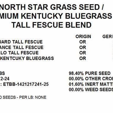 North Star Grass Seed | Premium Kentucky Bluegrass & Tall Fescue Blend - Image 6