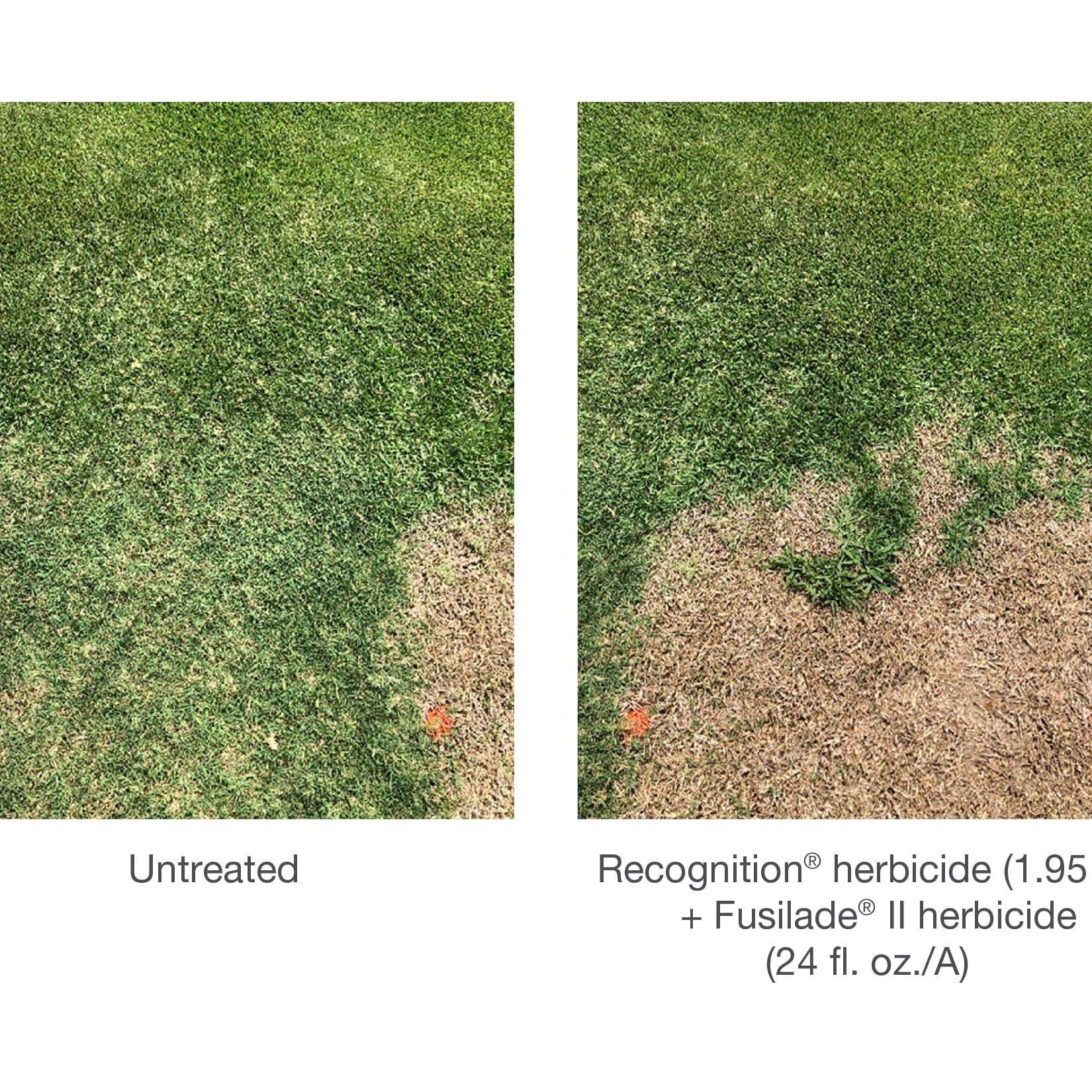 Recognition Herbicide - Image 4