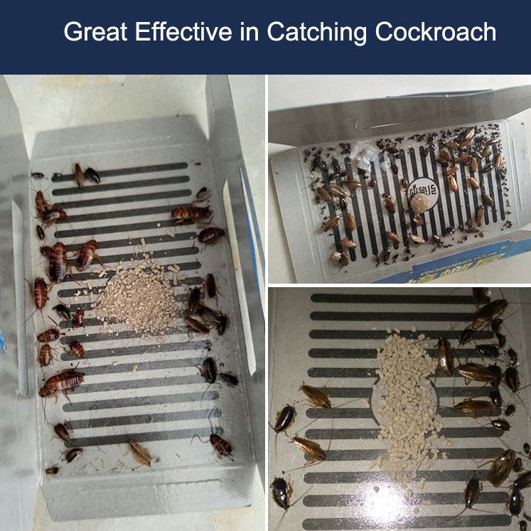 Roach Motel 10 Pack - Effective Cockroach Killer - Image 3