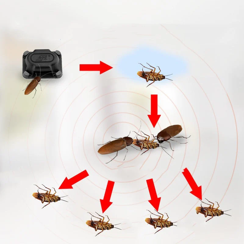 Roach Poison Control - Effective Cockroach Killer - Image 3