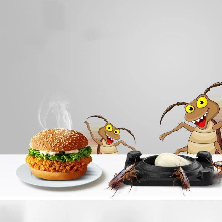 Roach Poison Control - Effective Cockroach Killer - Image 5